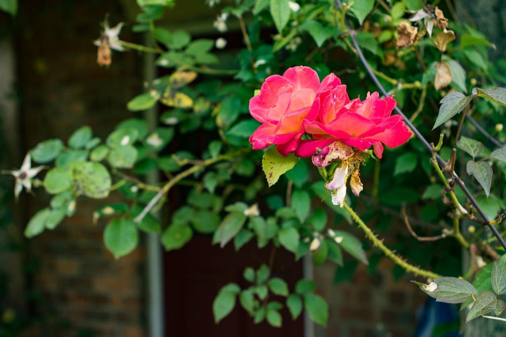 Mareham House Bed & Breakfast Sleaford Ngoại thất bức ảnh